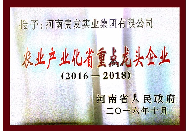 农业产业化省重点龙头企业